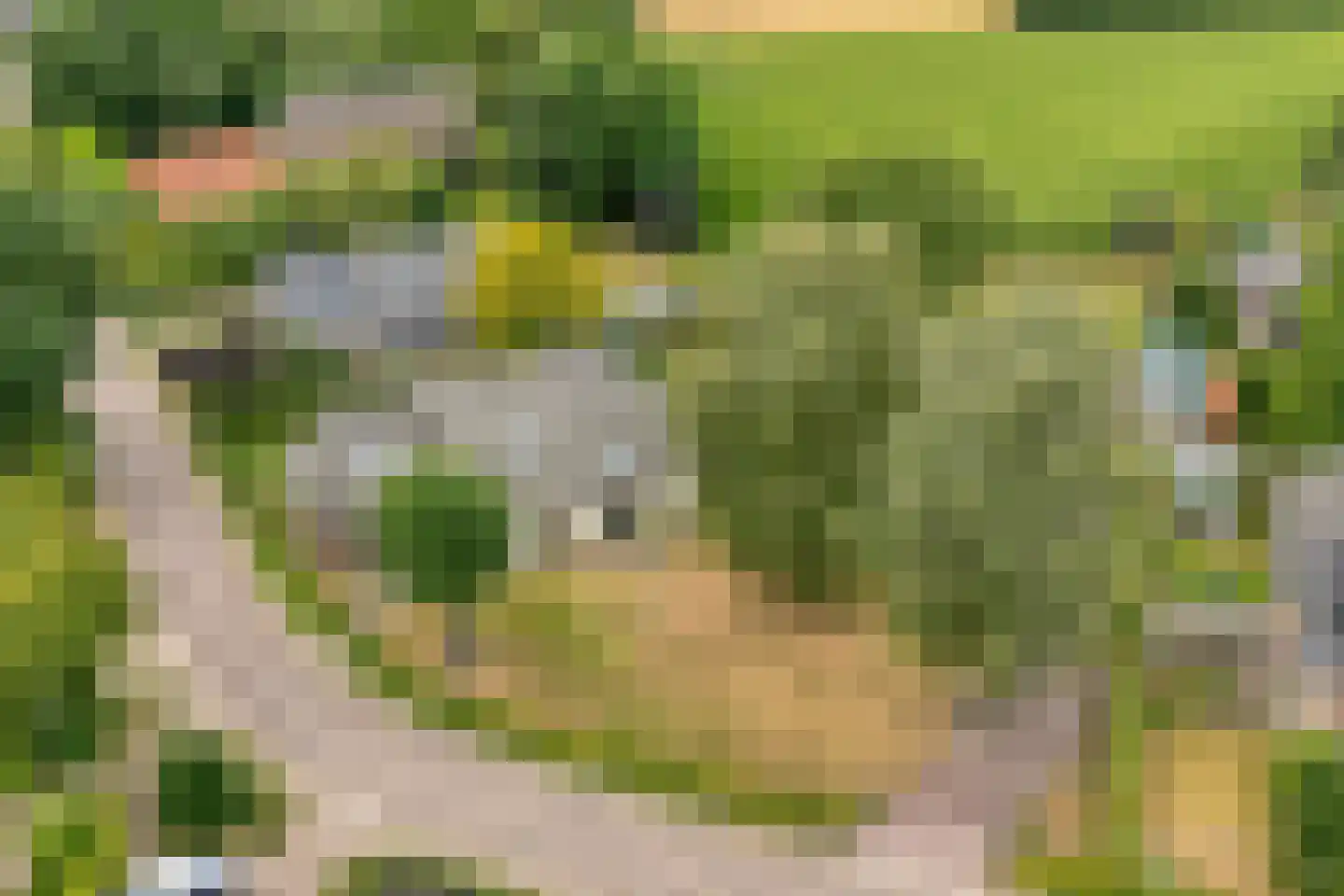 De Hoek 9 Vledder thumbnail 10