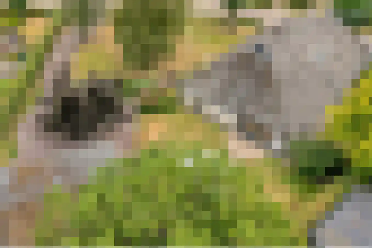 De Hoek 9 Vledder thumbnail 11