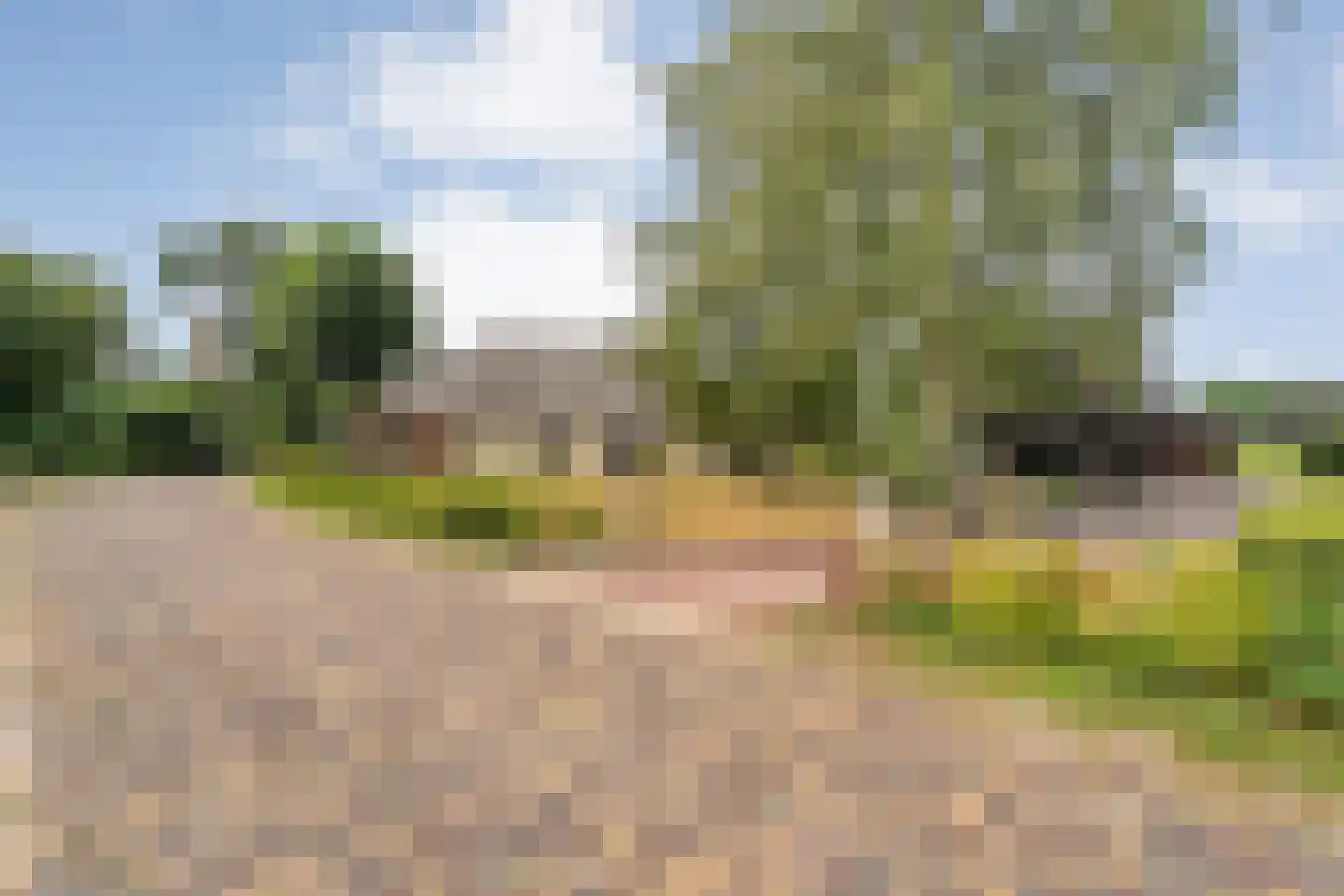 De Hoek 9 Vledder thumbnail 14