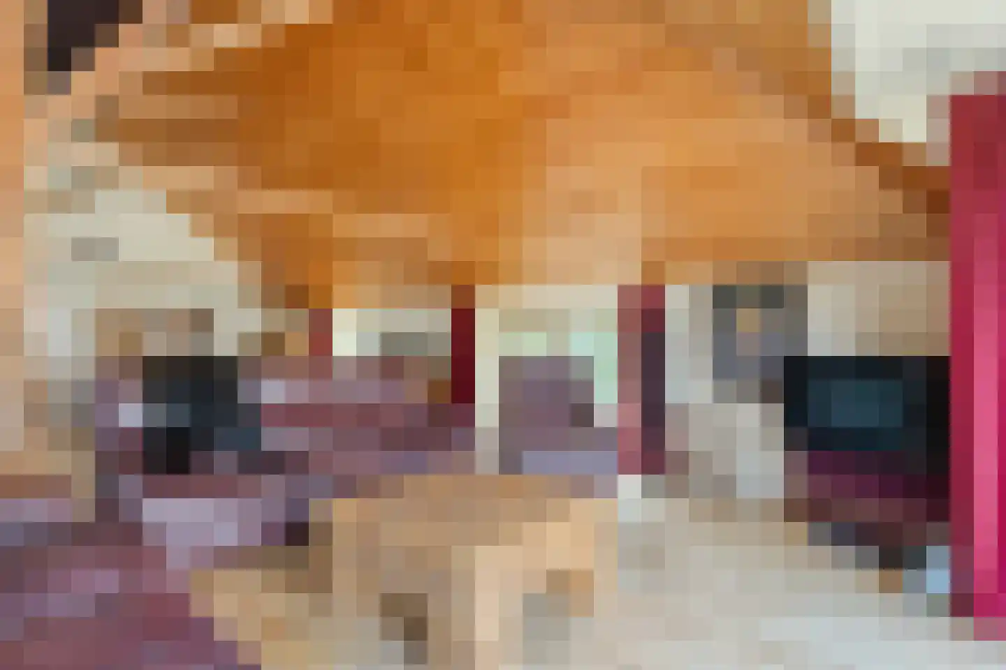 De Hoek 9 Vledder thumbnail 24