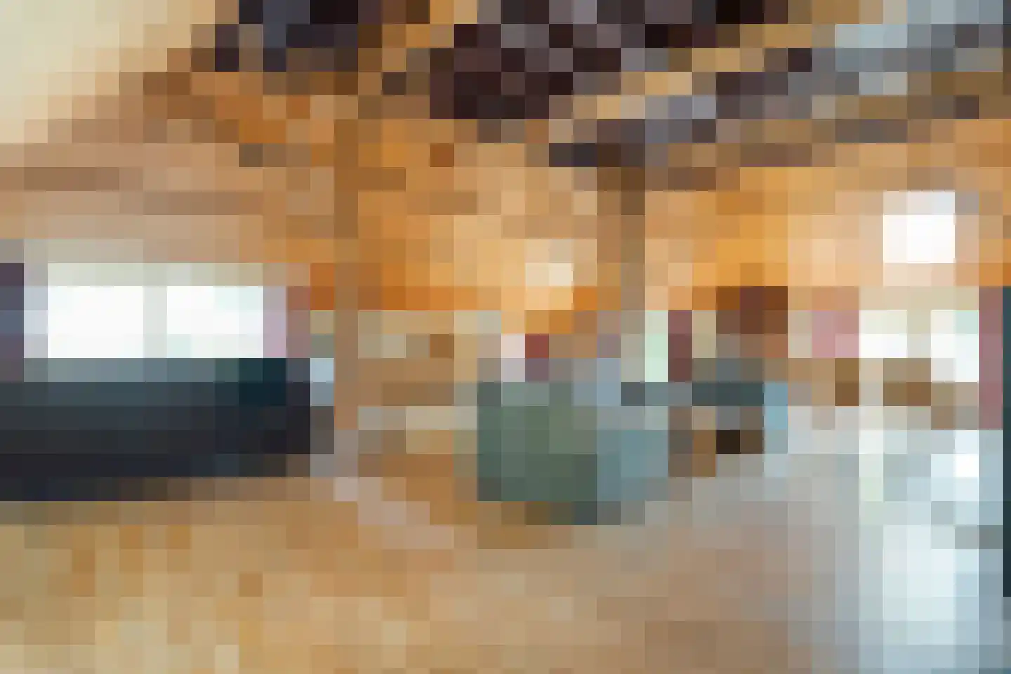 De Hoek 9 Vledder thumbnail 26