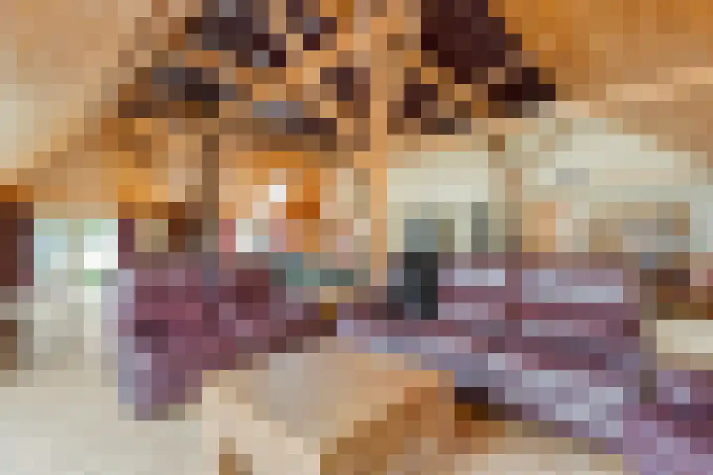 De Hoek 9 Vledder thumbnail 28