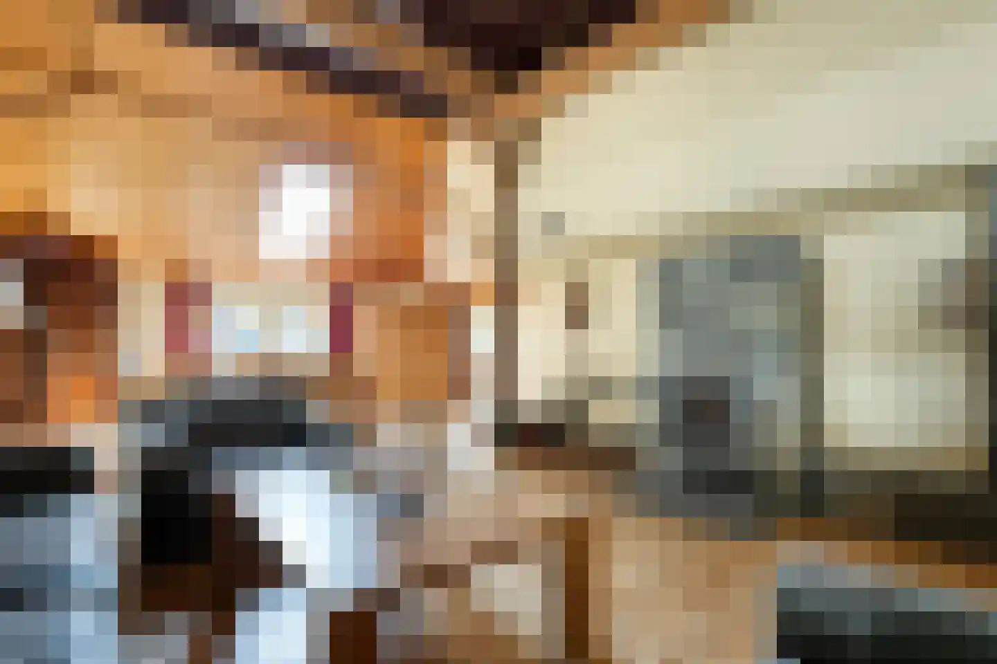 De Hoek 9 Vledder thumbnail 31