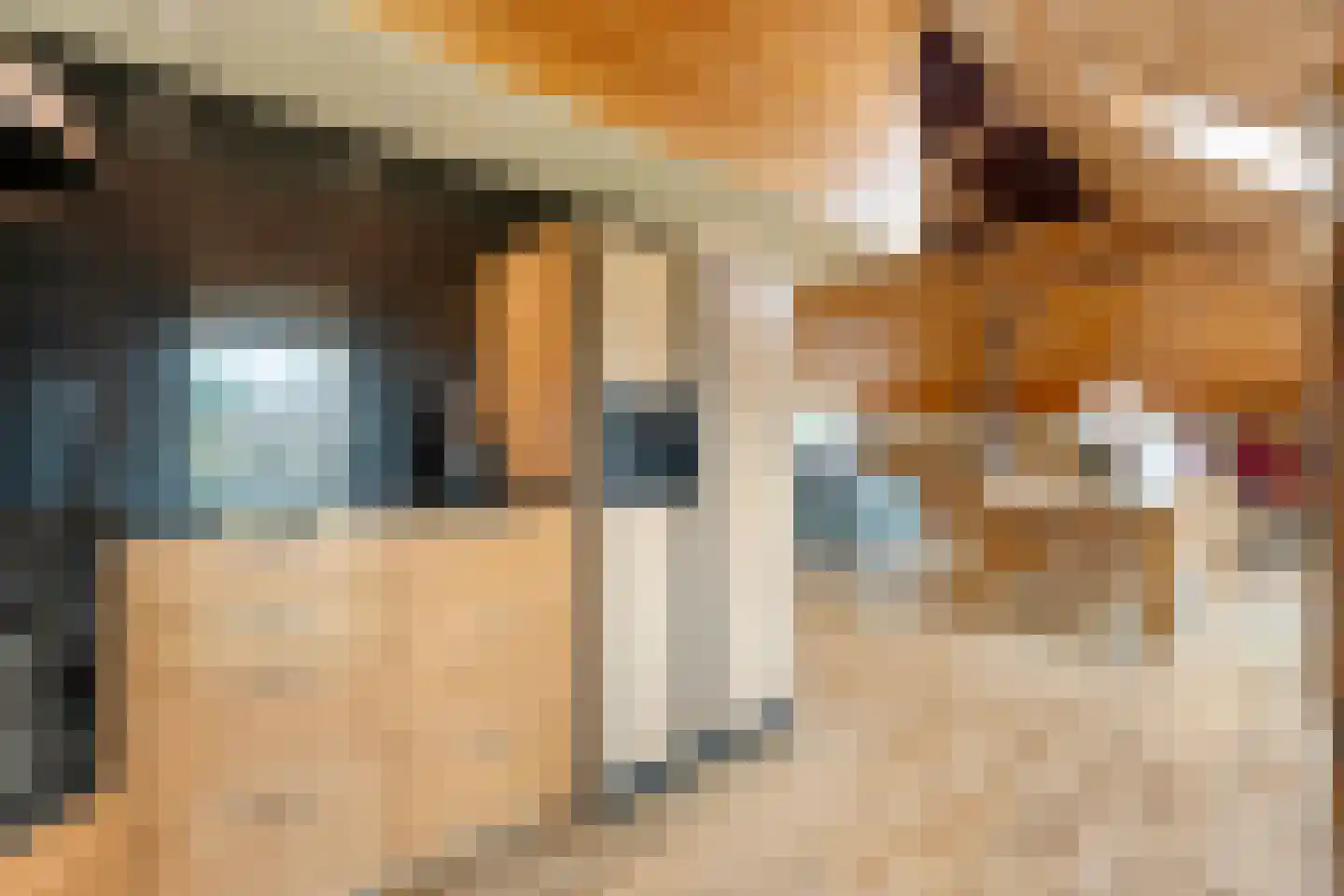 De Hoek 9 Vledder thumbnail 33