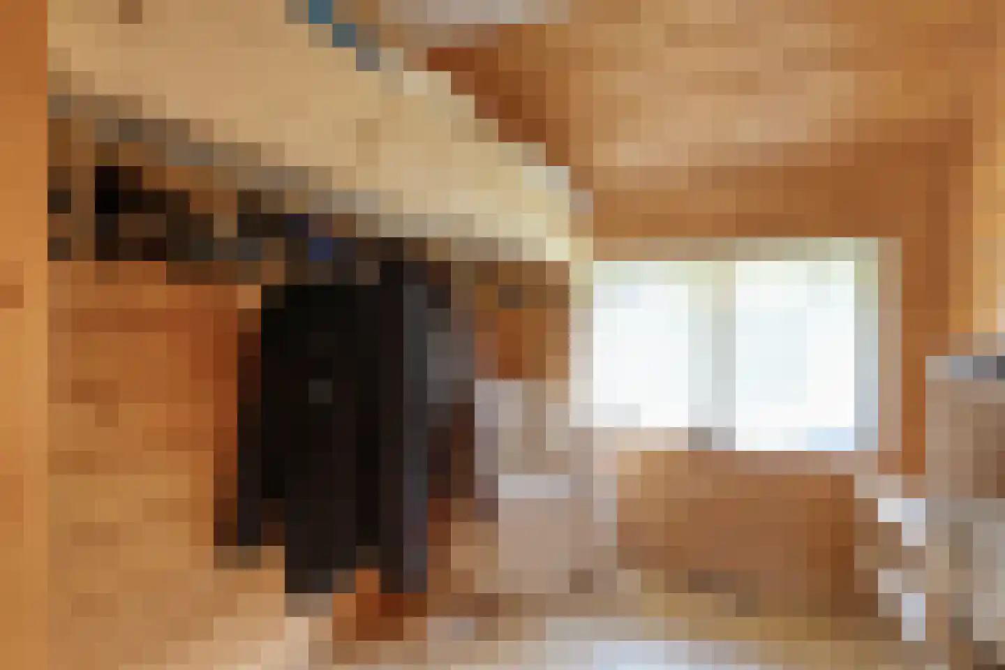 De Hoek 9 Vledder thumbnail 37