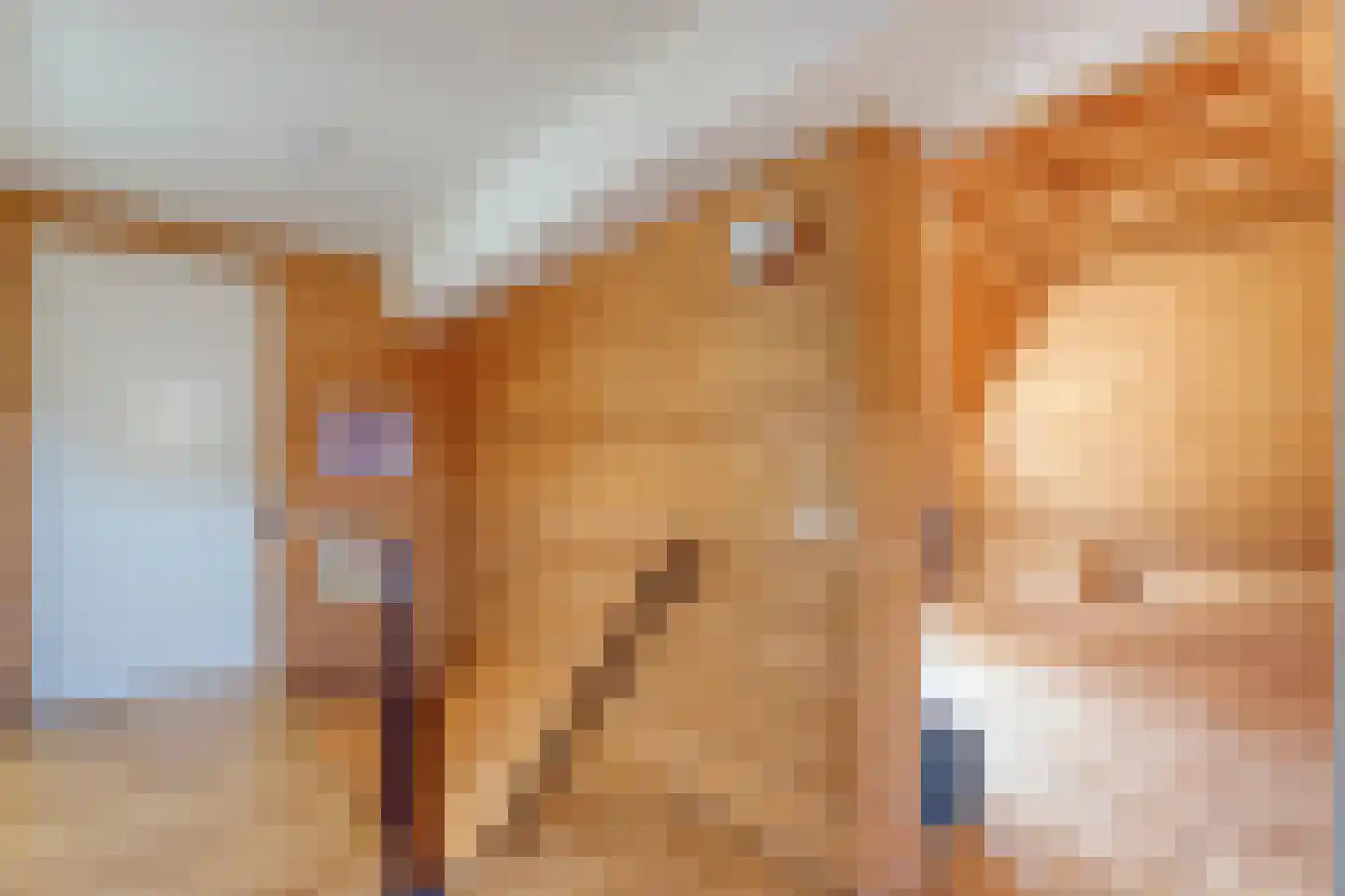 De Hoek 9 Vledder thumbnail 45