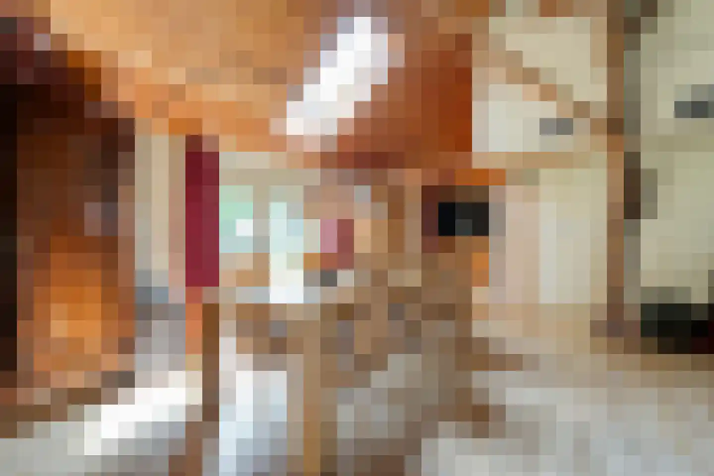 De Hoek 9 Vledder thumbnail 5