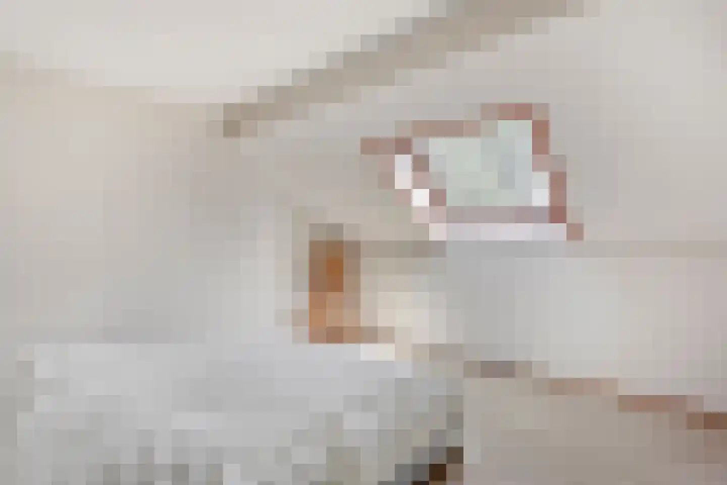 De Hoek 9 Vledder thumbnail 52