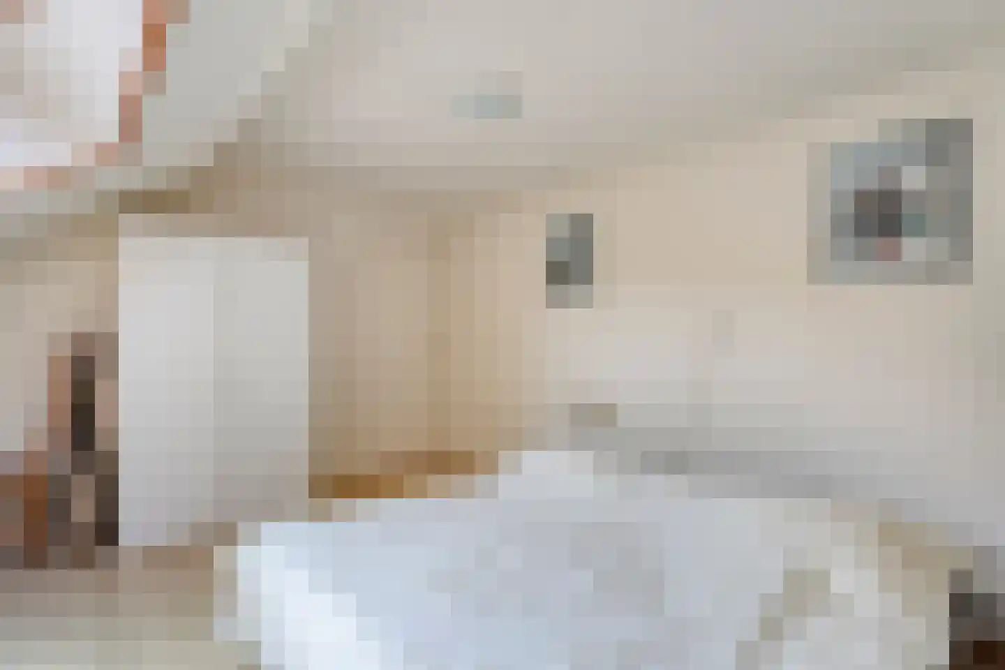 De Hoek 9 Vledder thumbnail 53