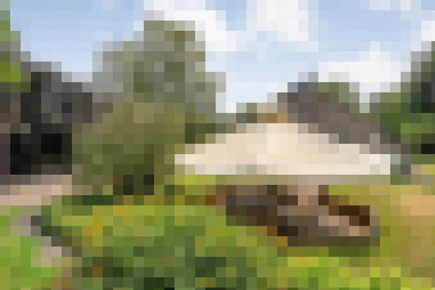 De Hoek 9 Vledder thumbnail 59