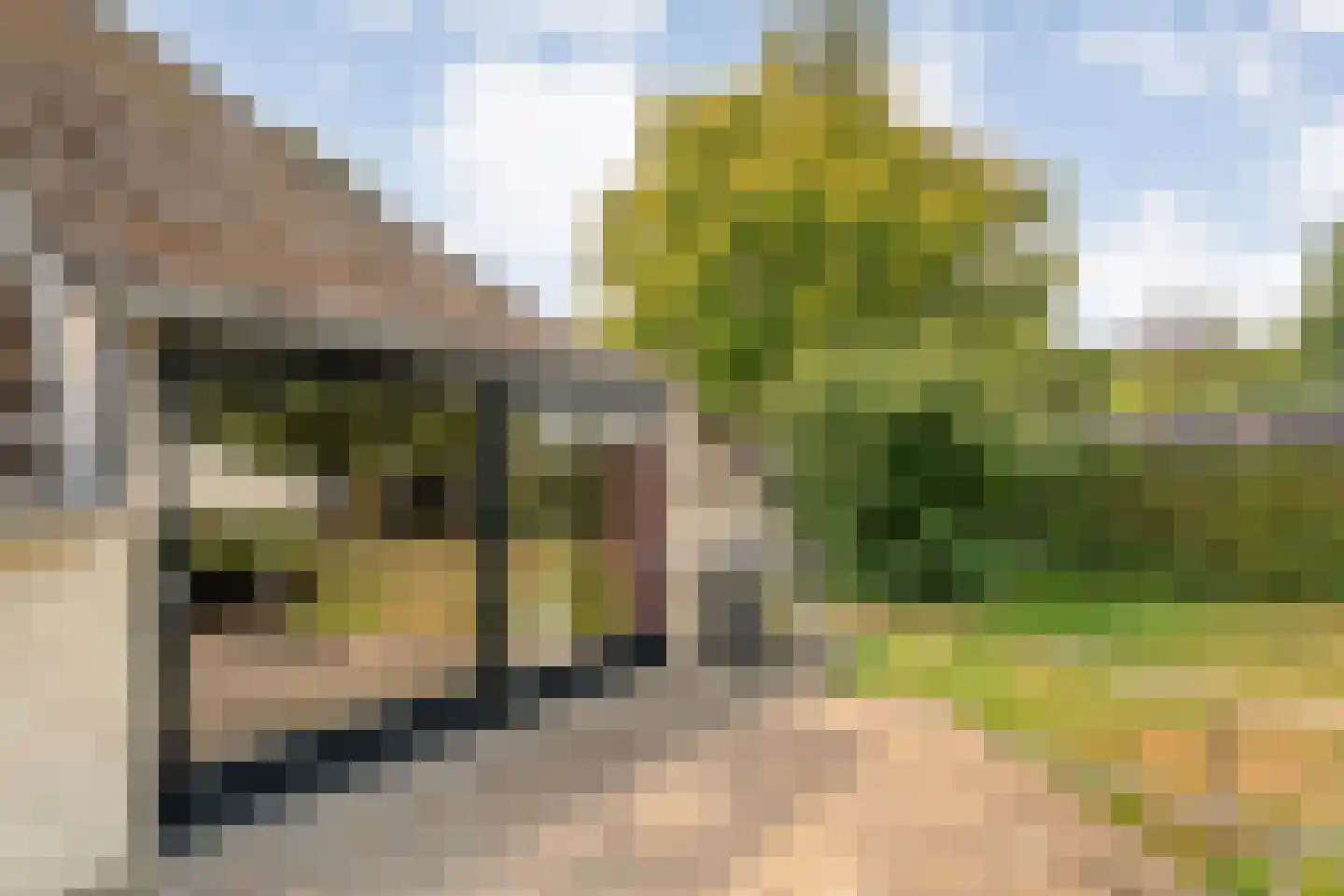 De Hoek 9 Vledder thumbnail 60
