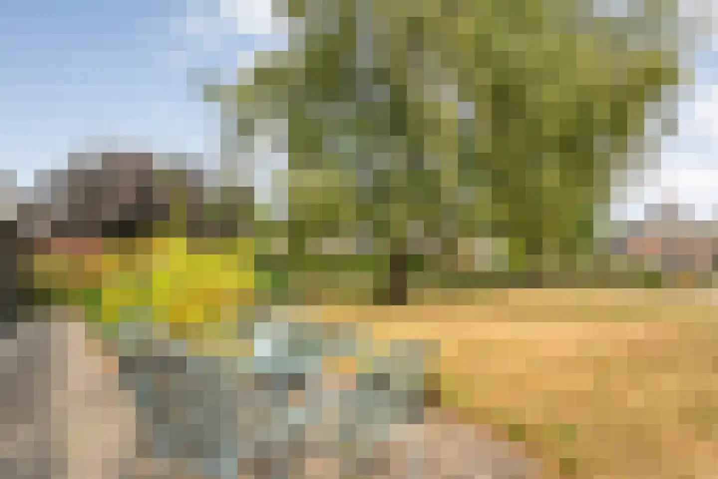 De Hoek 9 Vledder thumbnail 65