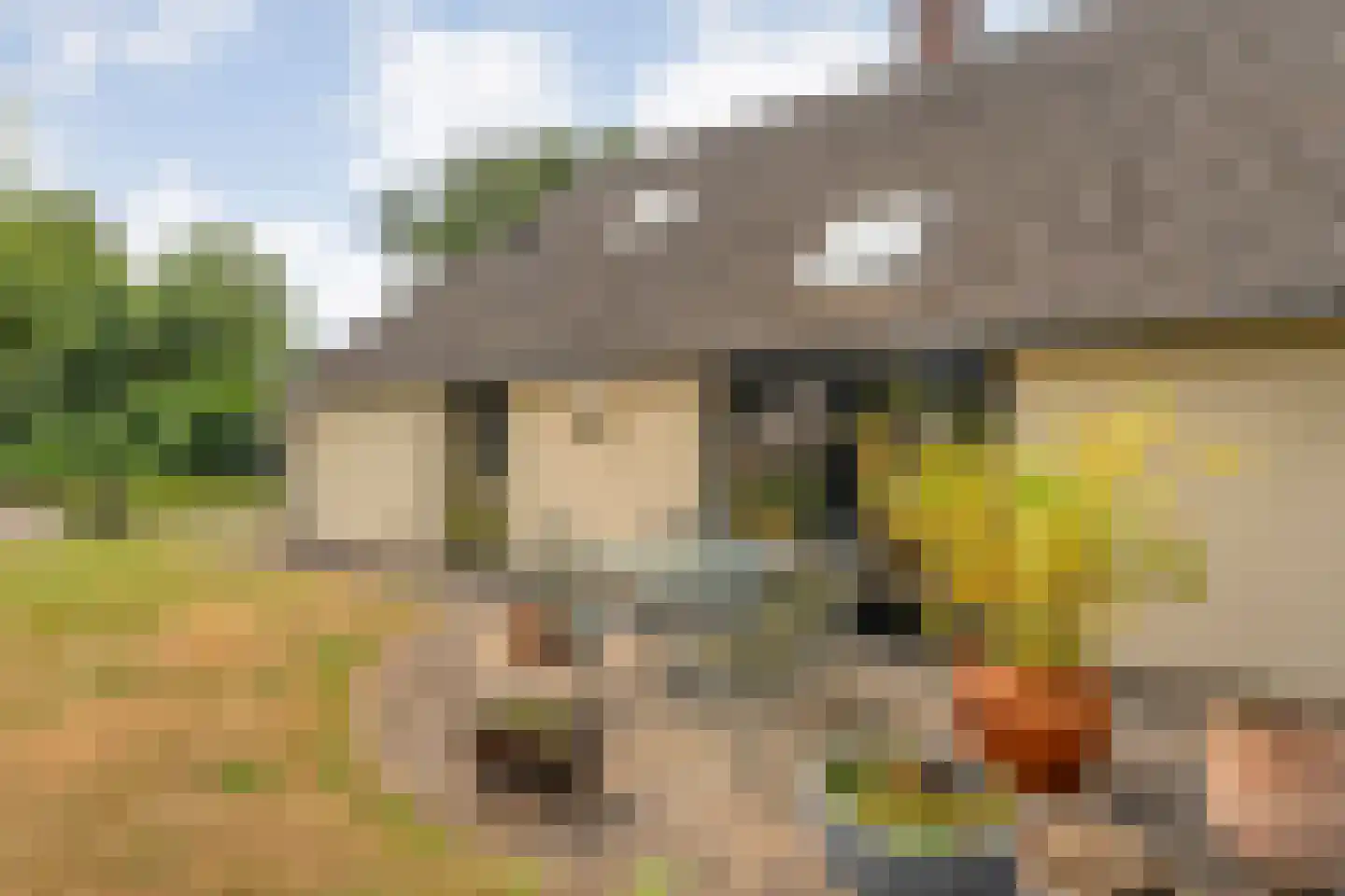 De Hoek 9 Vledder thumbnail 66