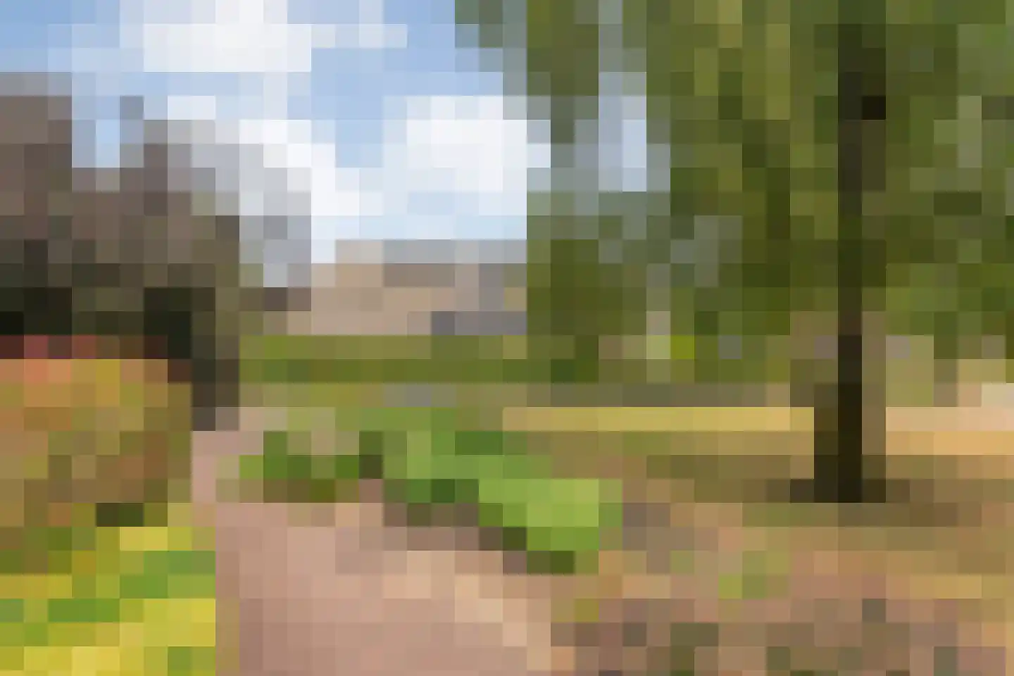 De Hoek 9 Vledder thumbnail 7