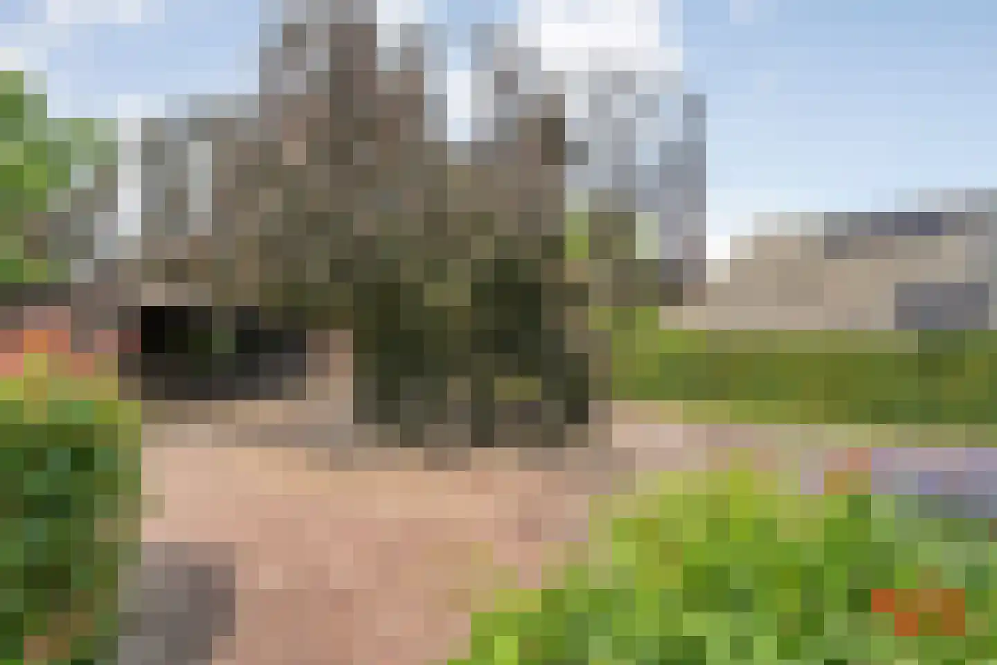 De Hoek 9 Vledder thumbnail 8