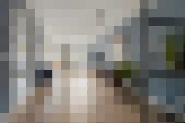 De Hoekakker 14 Riethoven thumbnail 13