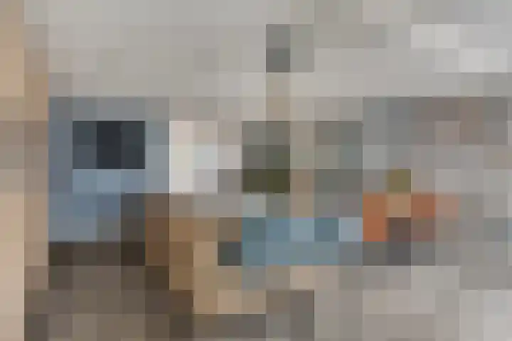 De Hoekakker 14 Riethoven thumbnail 15