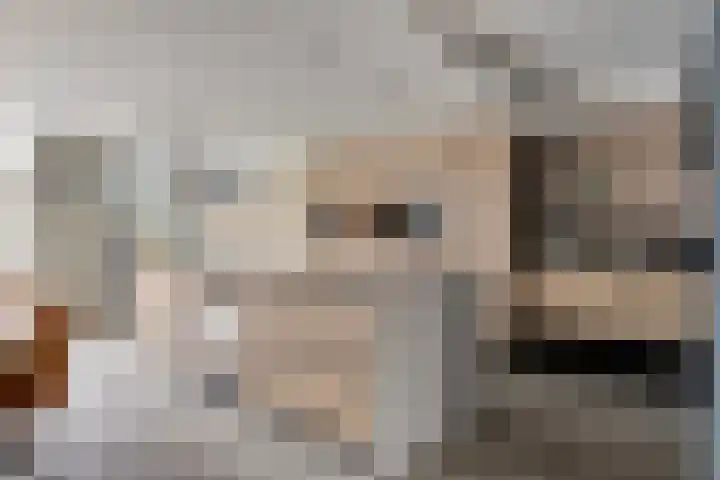 De Hoekakker 14 Riethoven thumbnail 17