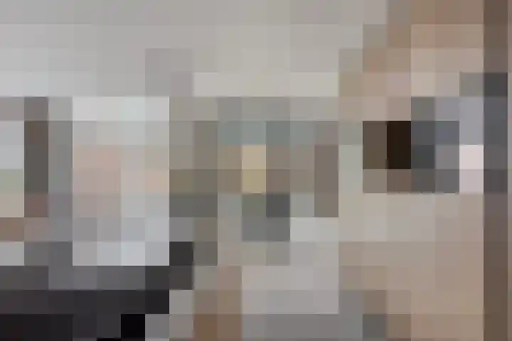 De Hoekakker 14 Riethoven thumbnail 18
