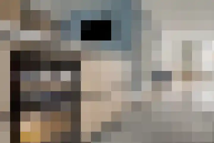 De Hoekakker 14 Riethoven thumbnail 19