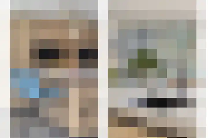 De Hoekakker 14 Riethoven thumbnail 21