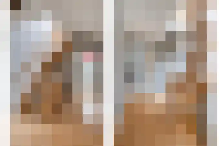 De Hoekakker 14 Riethoven thumbnail 26