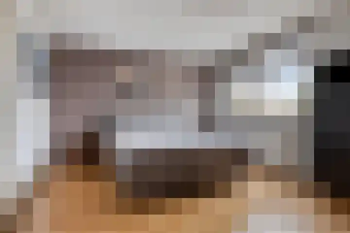 De Hoekakker 14 Riethoven thumbnail 28