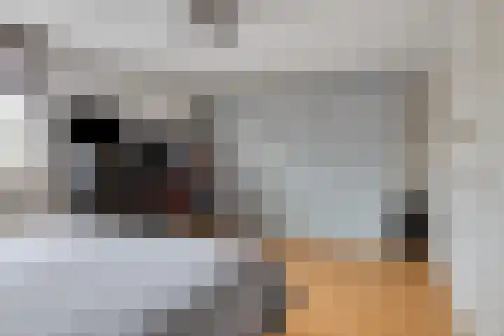 De Hoekakker 14 Riethoven thumbnail 29