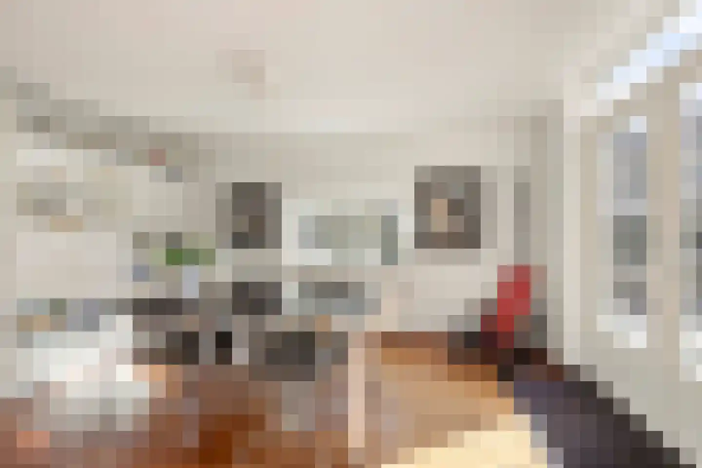 De Hoekakker 14 Riethoven thumbnail 32
