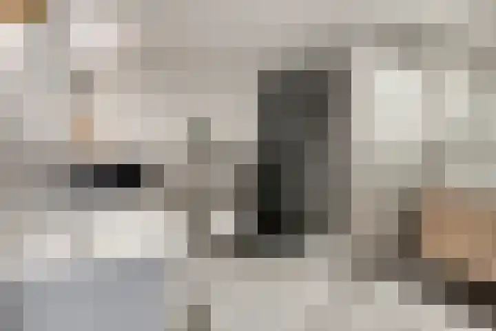 De Hoekakker 14 Riethoven thumbnail 32