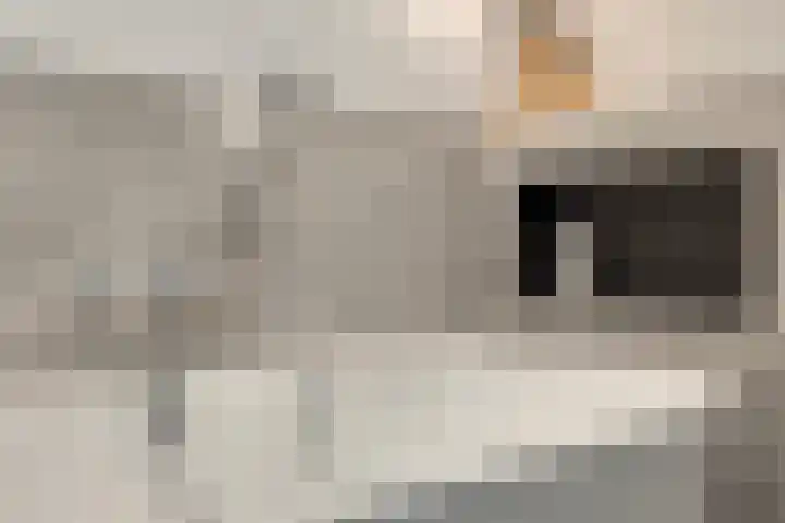 De Hoekakker 14 Riethoven thumbnail 33