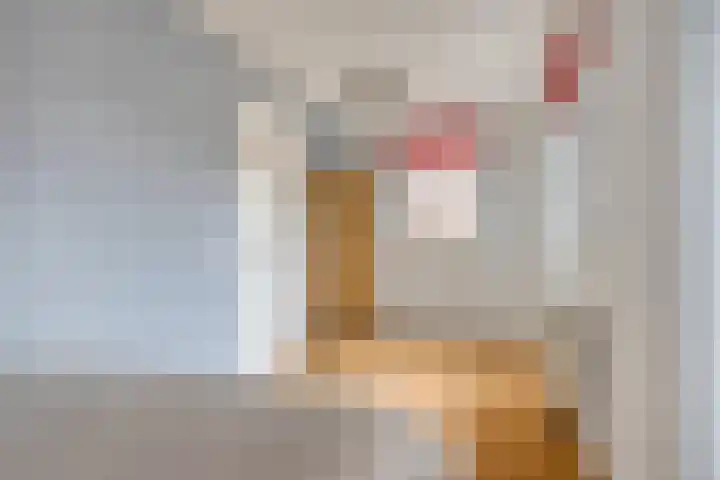 De Hoekakker 14 Riethoven thumbnail 36
