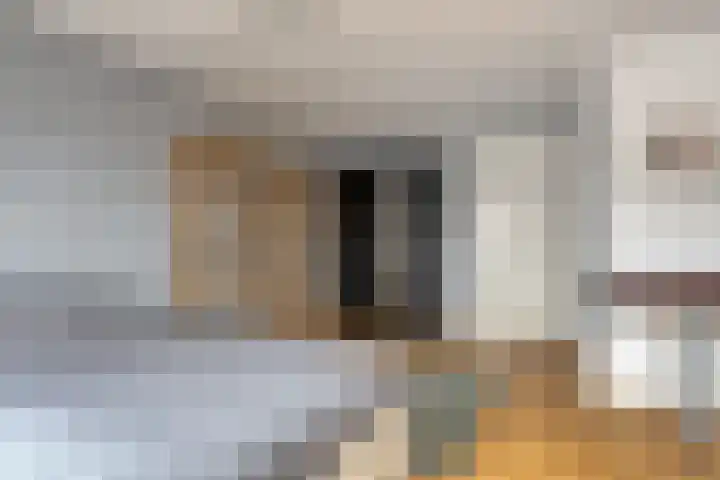 De Hoekakker 14 Riethoven thumbnail 39
