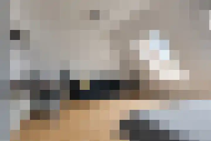 De Hoekakker 14 Riethoven thumbnail 40