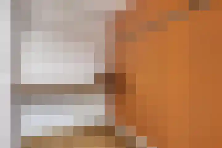 De Hoekakker 14 Riethoven thumbnail 42