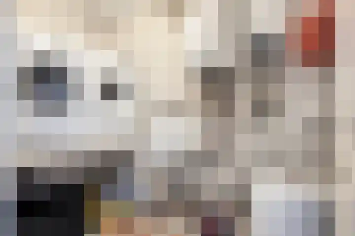 De Hoekakker 14 Riethoven thumbnail 43