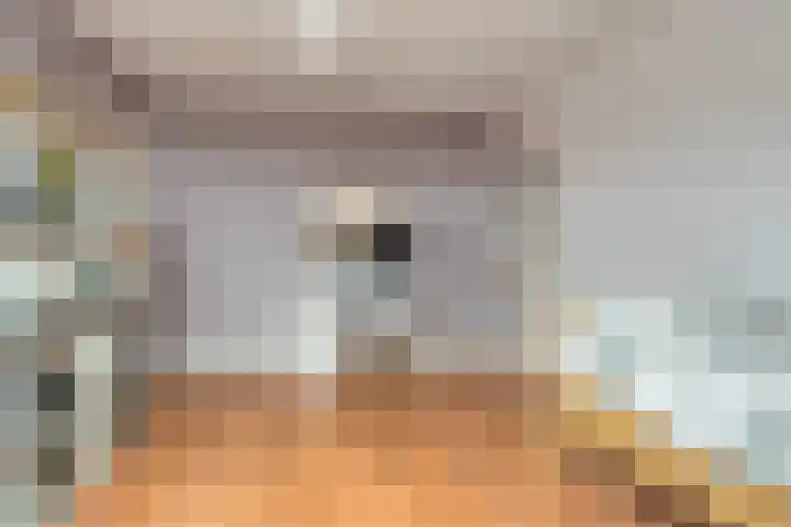 De Hoekakker 14 Riethoven thumbnail 47