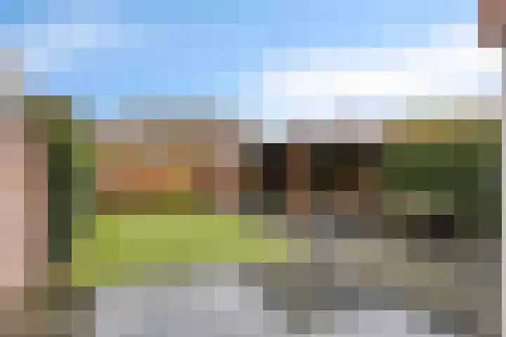 De Hoekakker 14 Riethoven thumbnail 51