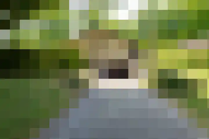 De Hoekakker 14 Riethoven thumbnail 54