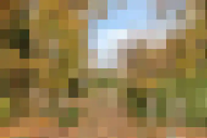 De Hoekakker 14 Riethoven thumbnail 55