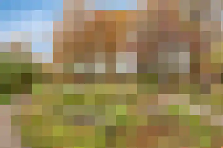 De Hoekakker 14 Riethoven thumbnail 56
