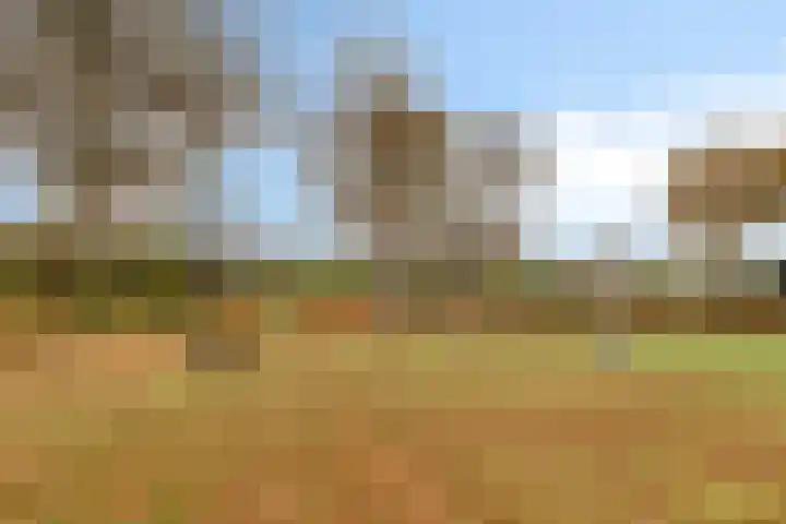 De Hoekakker 14 Riethoven thumbnail 57