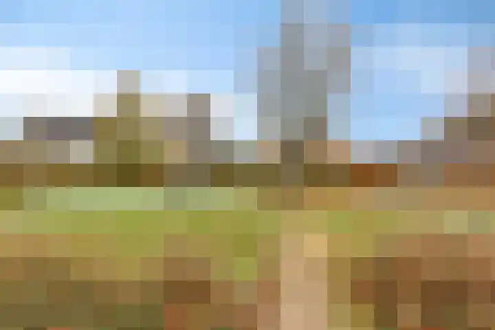 De Hoekakker 14 Riethoven thumbnail 58