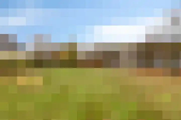 De Hoekakker 14 Riethoven thumbnail 59