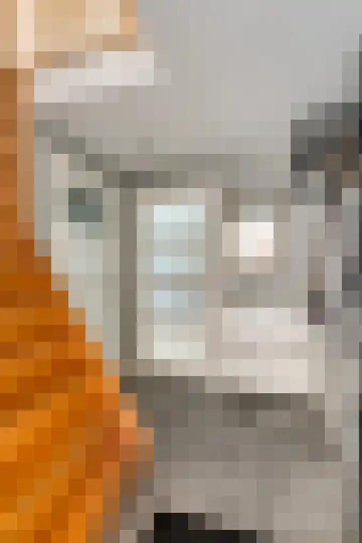 De Hoekakker 14 Riethoven thumbnail 7