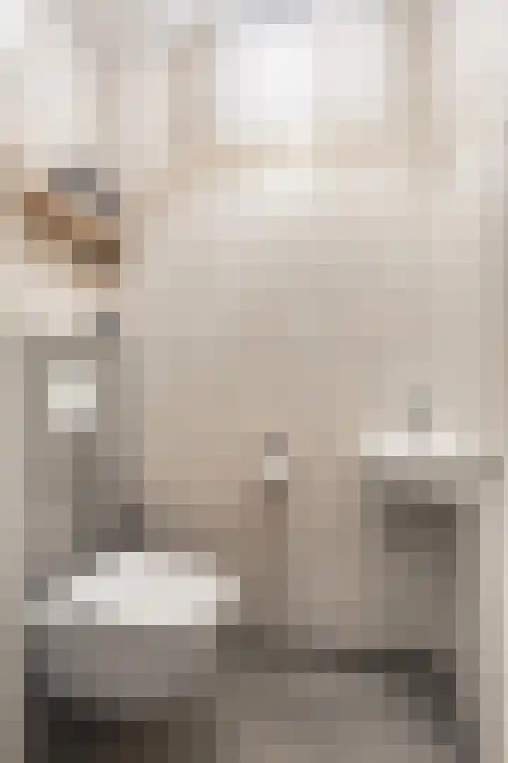 De Hoekakker 14 Riethoven thumbnail 8