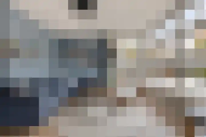 De Hoekakker 14 Riethoven thumbnail 9