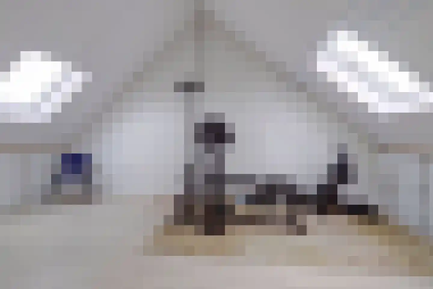 De Hoenderkampen 22 Hellouw thumbnail 28