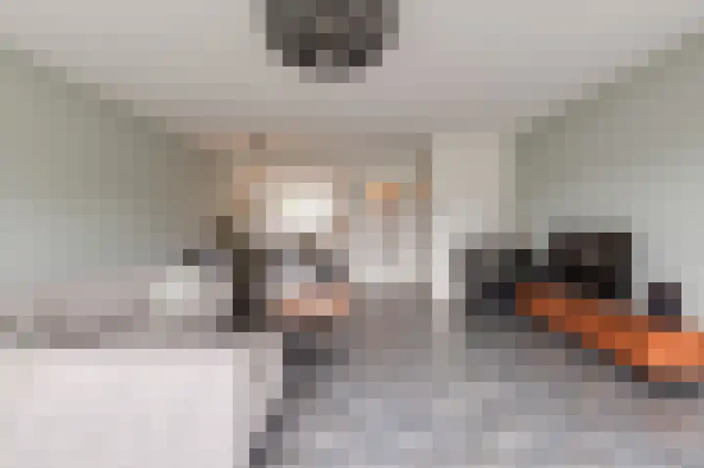 De Hoenderkampen 3 Hellouw thumbnail 6