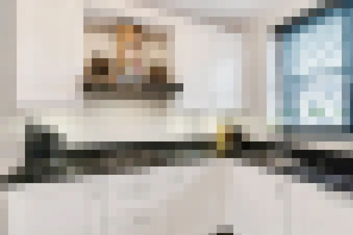 De Hoepelmaker 13 Rijswijk (NB) thumbnail 17